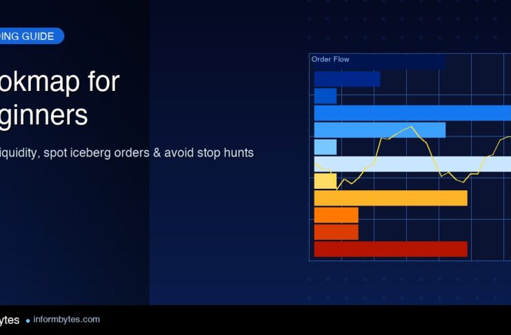 Bookmap order flow heatmap chart showing liquidity levels and iceberg orders