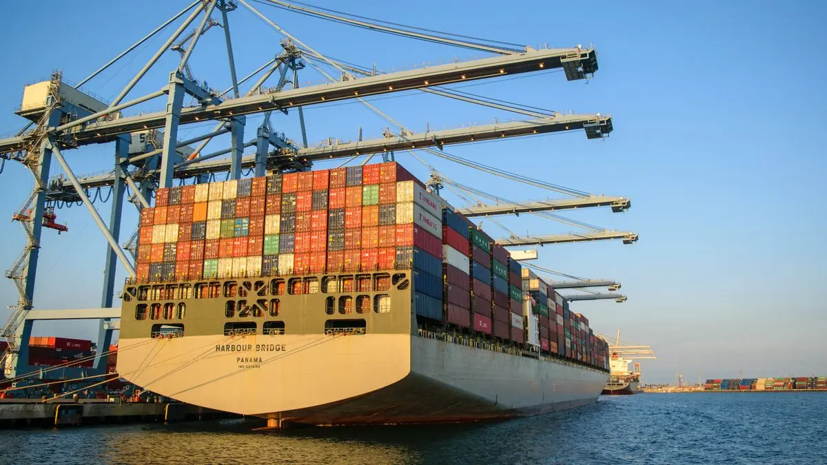 Container ship moored beneath port cranes.
